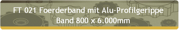 FT 021 Foerderband mit Alu-Profilgerippe  
    Band 800 x 6.000mm