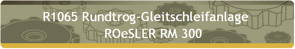R1065 Rundtrog-Gleitschleifanlage  
    ROeSLER RM 300